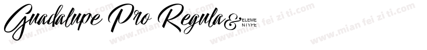 Guadalupe Pro Regula字体转换